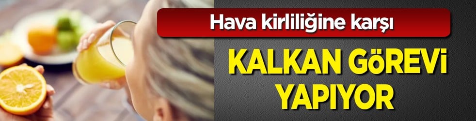 Soğuk havaya karşı kalkan görevi gören bu vitamin akciğerleri koruyabilir! Bilim insanları açıkladı, duyan şok yaşıyor