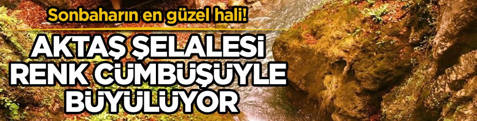 Sonbaharın en güzel hali! Aktaş şelalesi renk cümbüşüyle büyülüyor