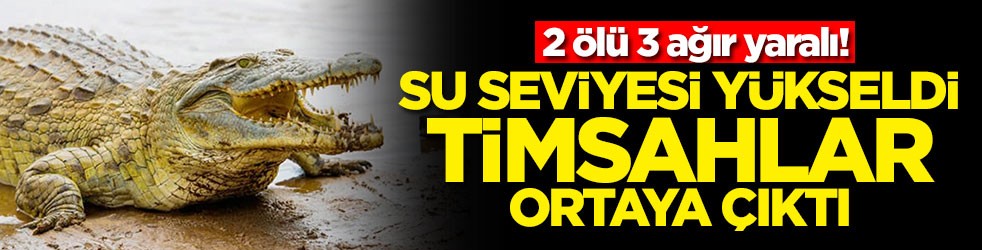 Su seviyesi yükseldi timsahlar ortaya çıktı! 2 ölü 3 ağır yaralı