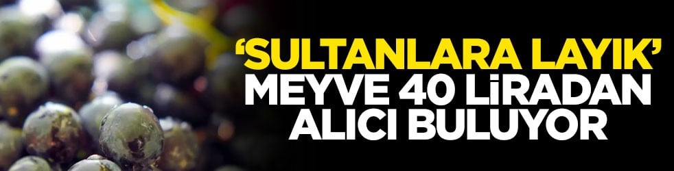 ‘Sultanlara layık’ meyve 40 liradan alıcı buluyor