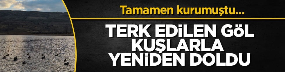 Tamamen kurumuştu… Terk edilen göl kuşlarla yeniden doldu