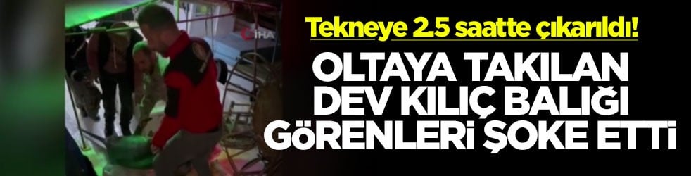 Tekneye 2.5 saatte çıkarıldı! Oltaya takılan dev kılıç balığı görenleri şoke etti