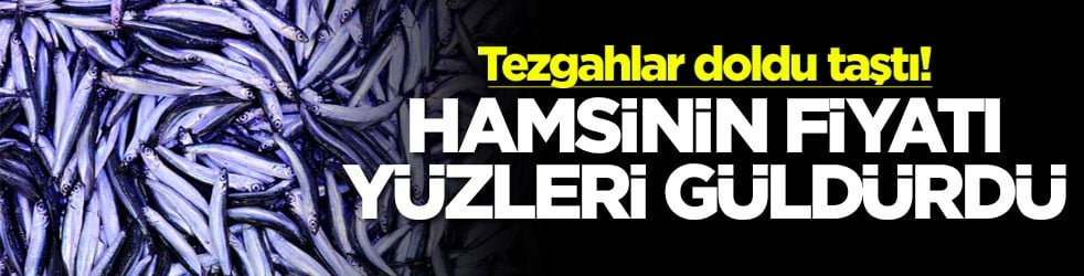 Tezgahlar doldu taştı! Hamsinin fiyatı yüzleri güldürdü