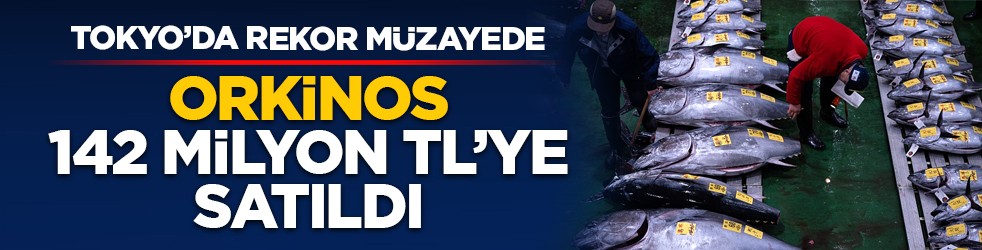 Tokyo’da rekor müzayede: Orkinos 142 milyon TL’ye satıldı