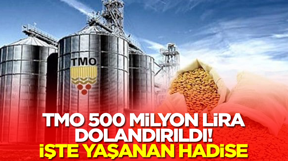 Toprak Mahsulleri Ofisi 500 milyon lira dolandırıldı: İşte yaşanan hadise