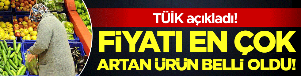 TÜİK açıkladı: Fiyatı en çok artan ürün belli oldu!