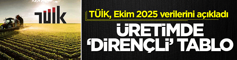 TÜİK duyurdu: Tarımsal girdi fiyatları Ekim'de %33,66 yükseldi!