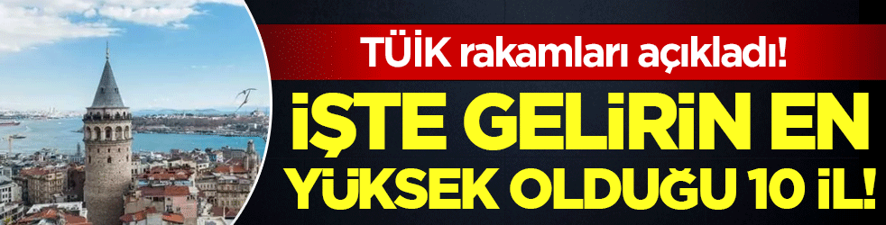 TÜİK verileri paylaştı: İşte kişi başı gelirin en yüksek olduğu 10 il!