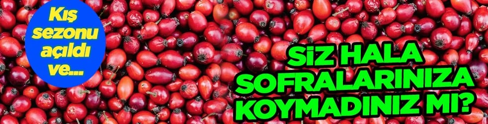 Tüm vücudu resetliyor... Etkisi tüm kış sürüyor! Vitamini fullüyor, bağışıklık sistemine derman oluyor