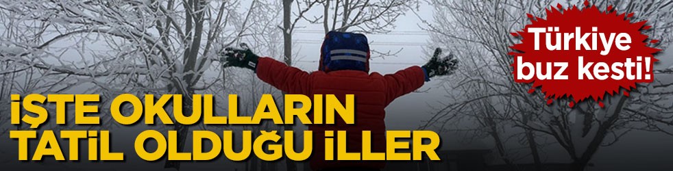 Türkiye buz kesti! İşte okulların tatil olduğu iller