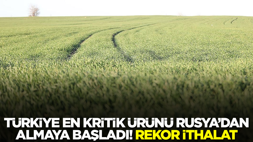 Türkiye en kritik ürünü Rusya'dan almaya başladılar! Rekor düzeyde ithalat