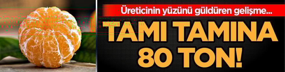 Türkiye'de çılgınlar gibi limon, mandalina, portakal almaya başladılar! Karadeniz'de fındığa artık alternatif oluyor