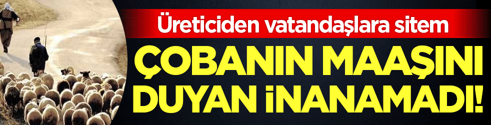 Üreticiden vatandaşlara sitem: Çobanın maaşını duyan inanamadı!