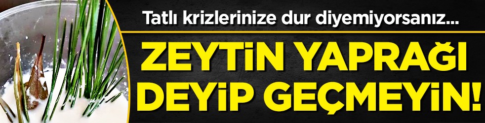 Uyku sorunu: Zeytin yaprağı deyip geçmeyin! 21 gün sonrası ara verip için! Başka ürünü alıp para vermeyin
