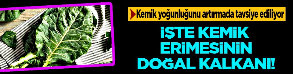 Uzmanından uyarı geldi... Kemik erimesine karşı doğal kalkan kara lahana mı?