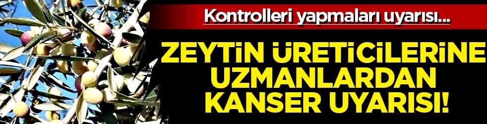 Uzmanlar tek tek anlattı! Zeytin üreticilerine uzmanlardan gelen kanser uyarısı: Büyük tehlike!