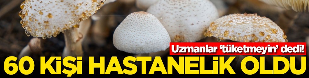 Uzmanlar tüketmeyin dedi! 60 kişi hastanelik oldu