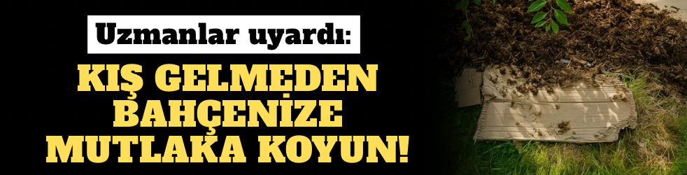 Uzmanlar uyardı: Kış gelmeden bahçenize mutlaka koyun!