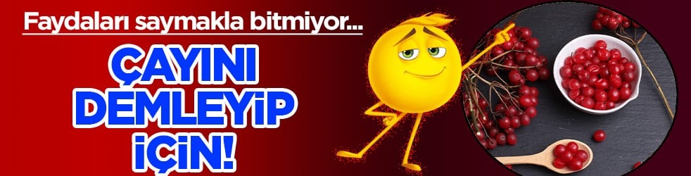 Uzun süredir biliniyor ama az kişi deniyor: Çayını demleyip için! Böbrek taşını ameliyatsız temizliyor, destek veriyor