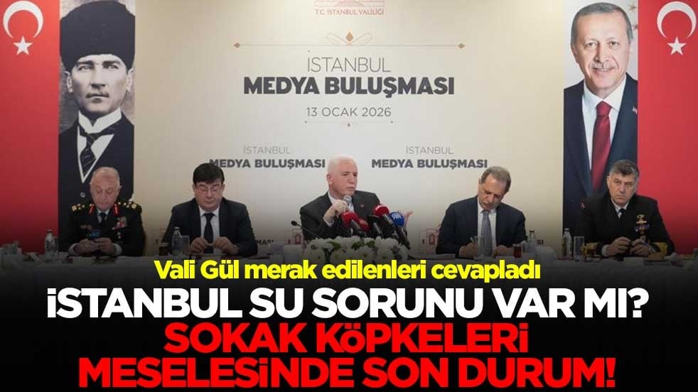 Vali Gül merak edilenleri cevapladı! İstanbul'da su sorunu var mı? Sokak köpekleri meselesinde son durum