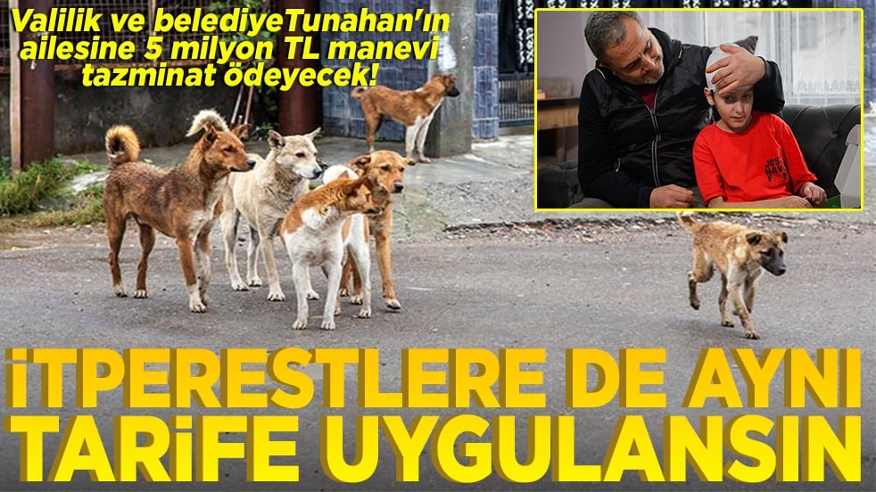 Valilik ve belediye Tunahan'ın ailesine, 5 milyon tazminat ödeyecek İtperestlere de aynı tarife uygulansın