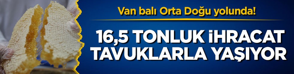 Van balı Orta Doğu yolunda! 16,5 tonluk ihracat Dubai’ye ulaştı