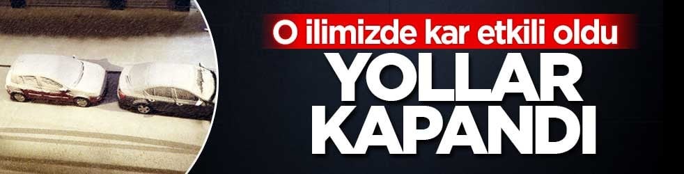 Van'da kar yağışı! Yollar kapandı