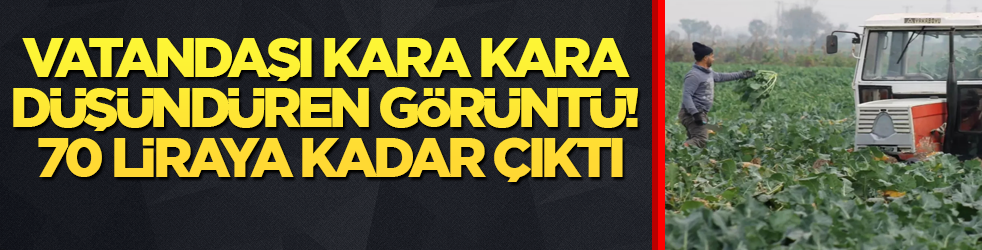 Vatandaşı kara kara düşündüren görüntü! 70 liraya kadar çıktı