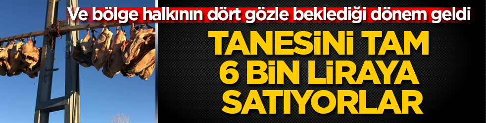 Ve bölge halkının dört gözle beklediği dönem geldi! Tanesini tamı tamına 6 bin liraya satıyorlar