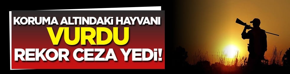 Yaban keçisi avlayan şahsa 658 bin lira şok fatura!