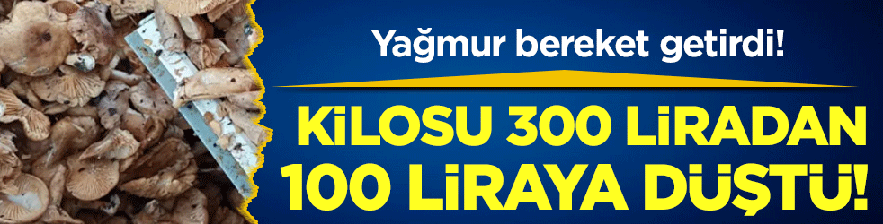 Yağmur bereket getirdi: Kilosu 300 liradan 100 liraya düştü!