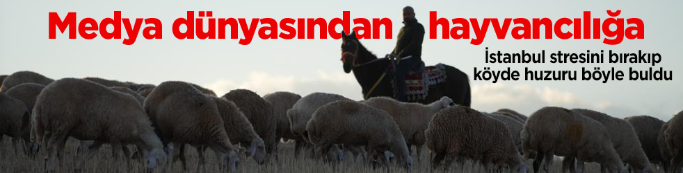 Yıllarca medya dünyasındaydı! İstanbul hengâmesinden kaçtı, şimdi köyde hayvancılık yapıyor