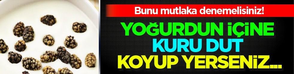 Yoğurdun içine kuru dut koyup yerseniz... Satışlar patladı, talep çok! 