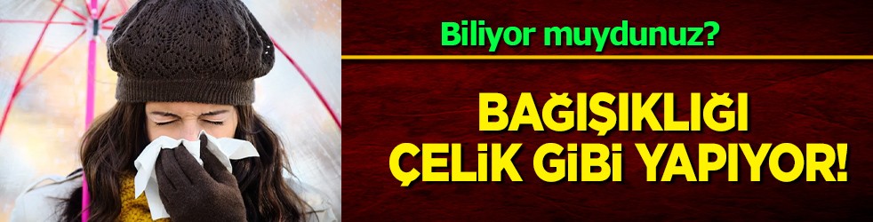 Yumurtadan fazla protein içeren meyve! Bağışıklığı çelik gibi yapıyor: Sadece haftada 2 kez etkili oluyor