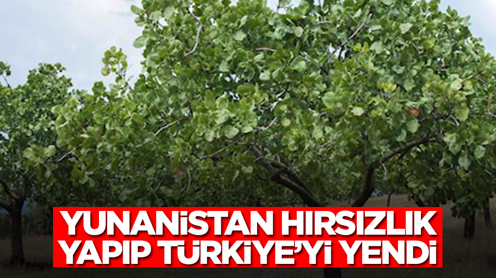 Yunanistan hırsızlık yapıp Türkiye'yi yendi