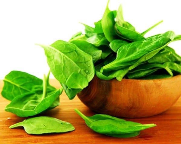 Foto - Strese savaş açıyorlar!