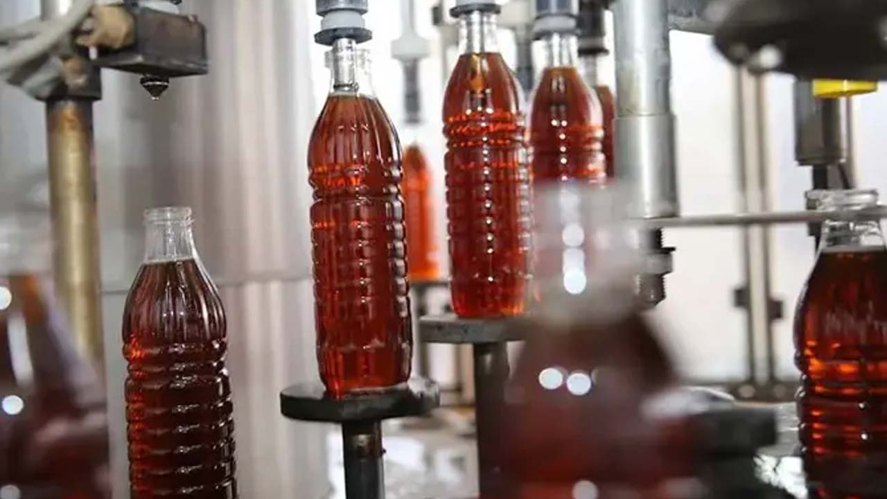 1 bardağı ömrü 10 yıl uzatıyor! Her sabah aç karnına içerseniz: Suyun içine ekleyince kolesterolün kökünü kurutuyor