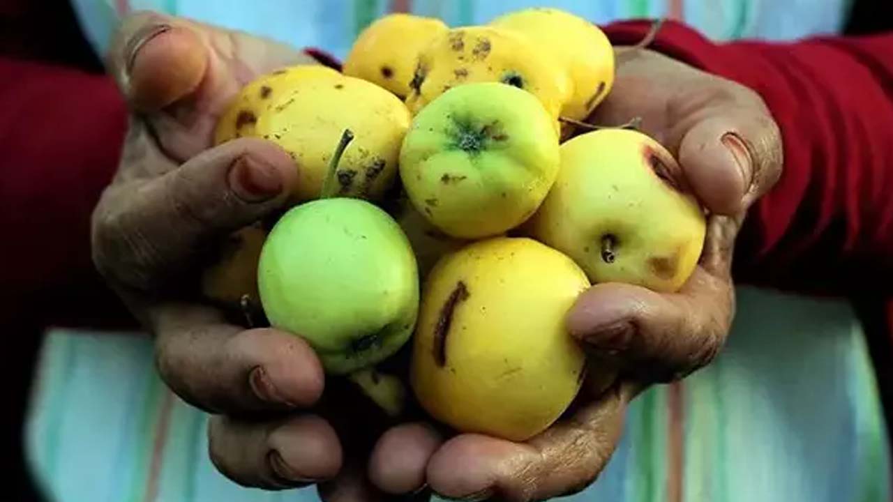 Foto - 1 bardağı ömrü 10 yıl uzatıyor! Her sabah aç karnına içerseniz: Suyun içine ekleyince kolesterolün kökünü kurutuyor