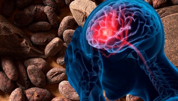 Foto - 1 bardak sütün içine 1 kaşık ekleyince organları temizliyor! Doğal iltihap çözücü, güçlü bir antioksidana dönüşüyor