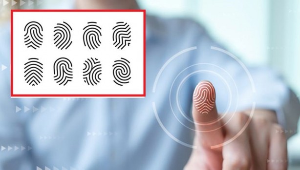 Foto - 1 bardak sütün içine 1 kaşık ekleyince organları temizliyor! Doğal iltihap çözücü, güçlü bir antioksidana dönüşüyor