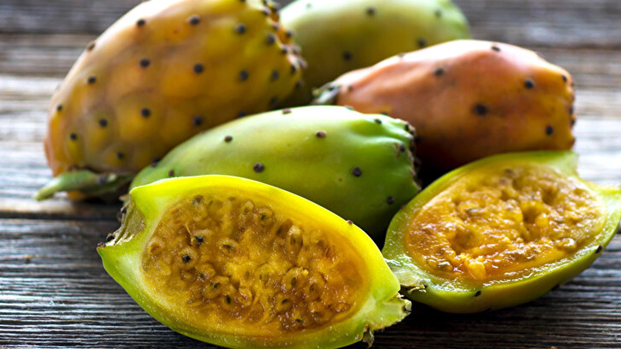 Foto - 1 damla suya ve bakıma ihtiyaç duymuyor: Yetiştiren servet sahibi oluyor! Dikenli incir