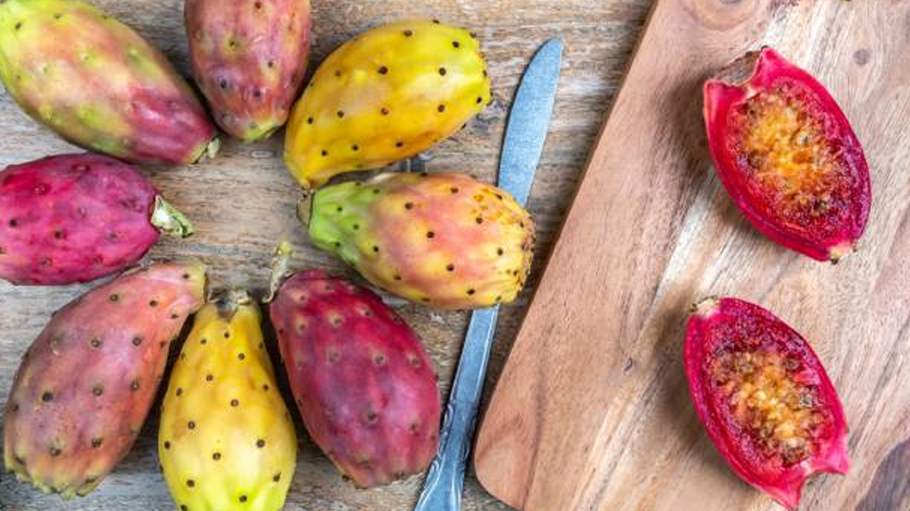 1 damla suya ve bakıma ihtiyaç duymuyor: Yetiştiren servet sahibi oluyor! Dikenli incir