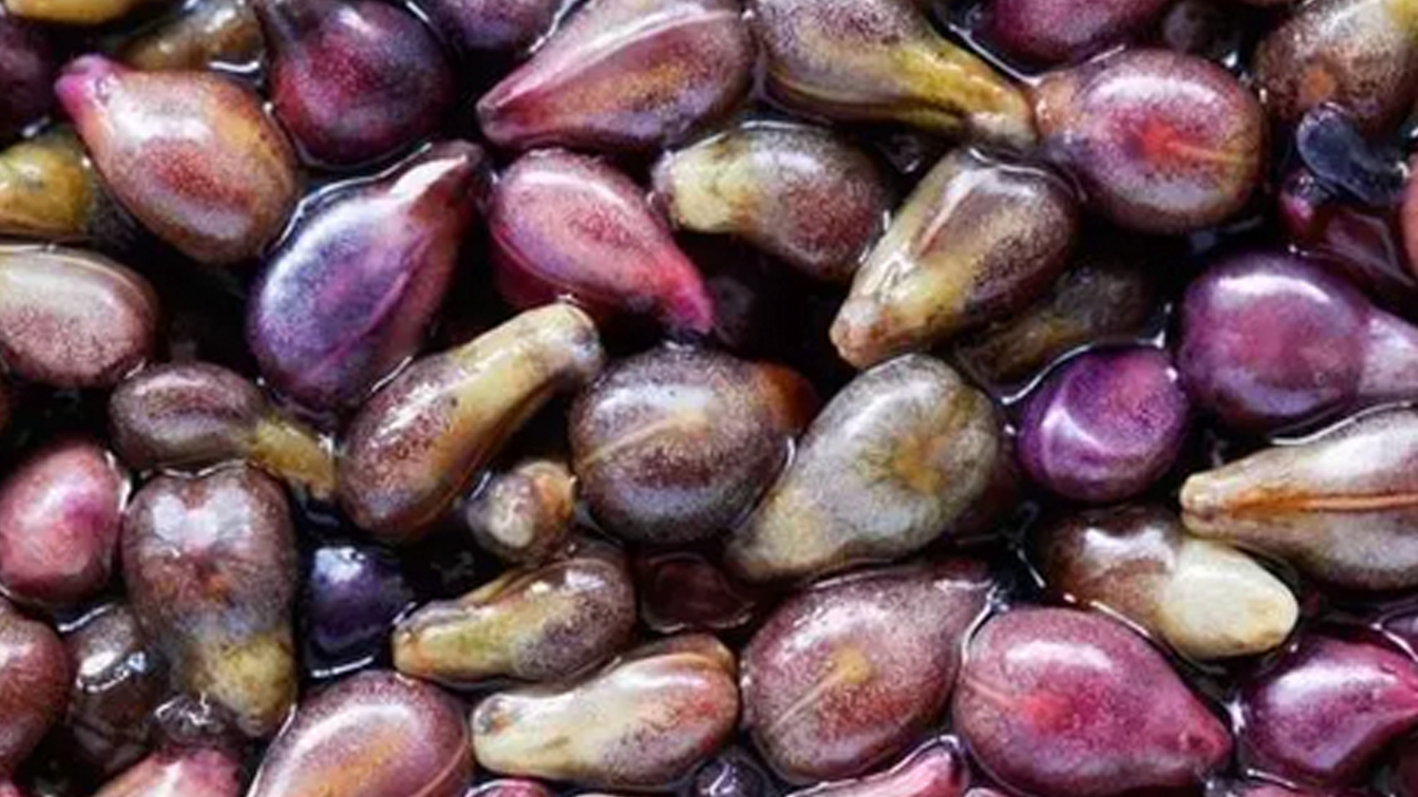 Foto - 1 damlası tek gecede 10 yaş gençleştiriyor! 