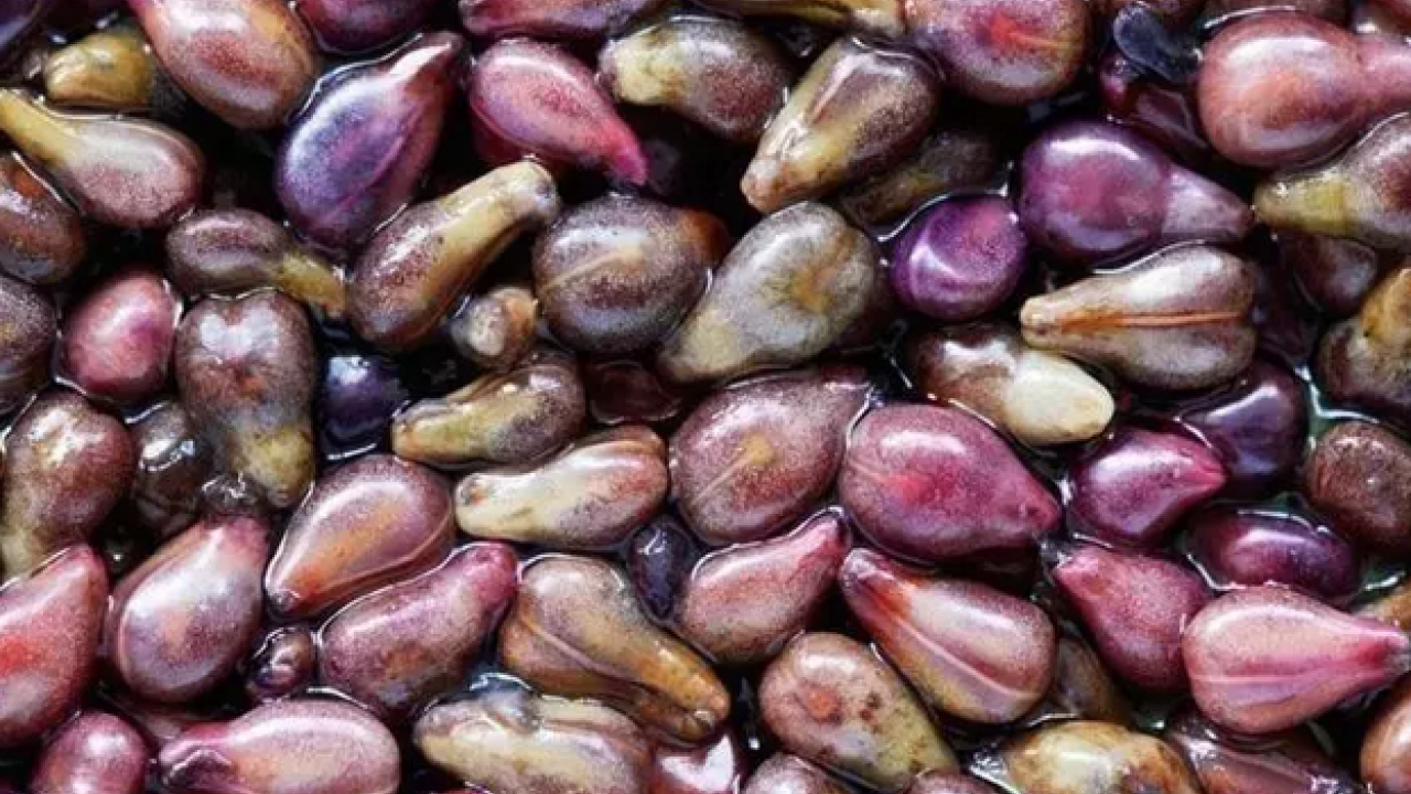 10 yaş gençleşmek ister misiniz! Cildinizi değiştiriyor