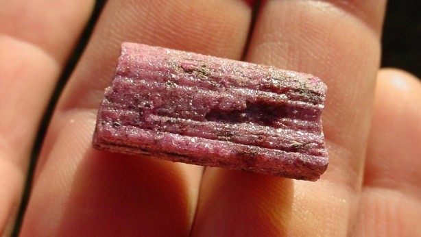 1 gramı bile servet değerinde... Bulanın sırtı yere gelmiyor