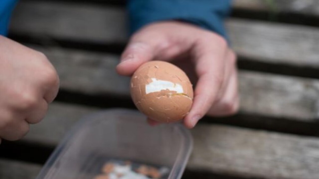Foto - 1 günde 2 yumurta yerseniz bakın ne oluyor