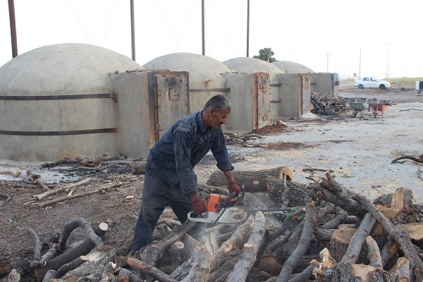 Foto - 1 hafta aralıksız yanıyor, mangalın vazgeçilmezi oluyor