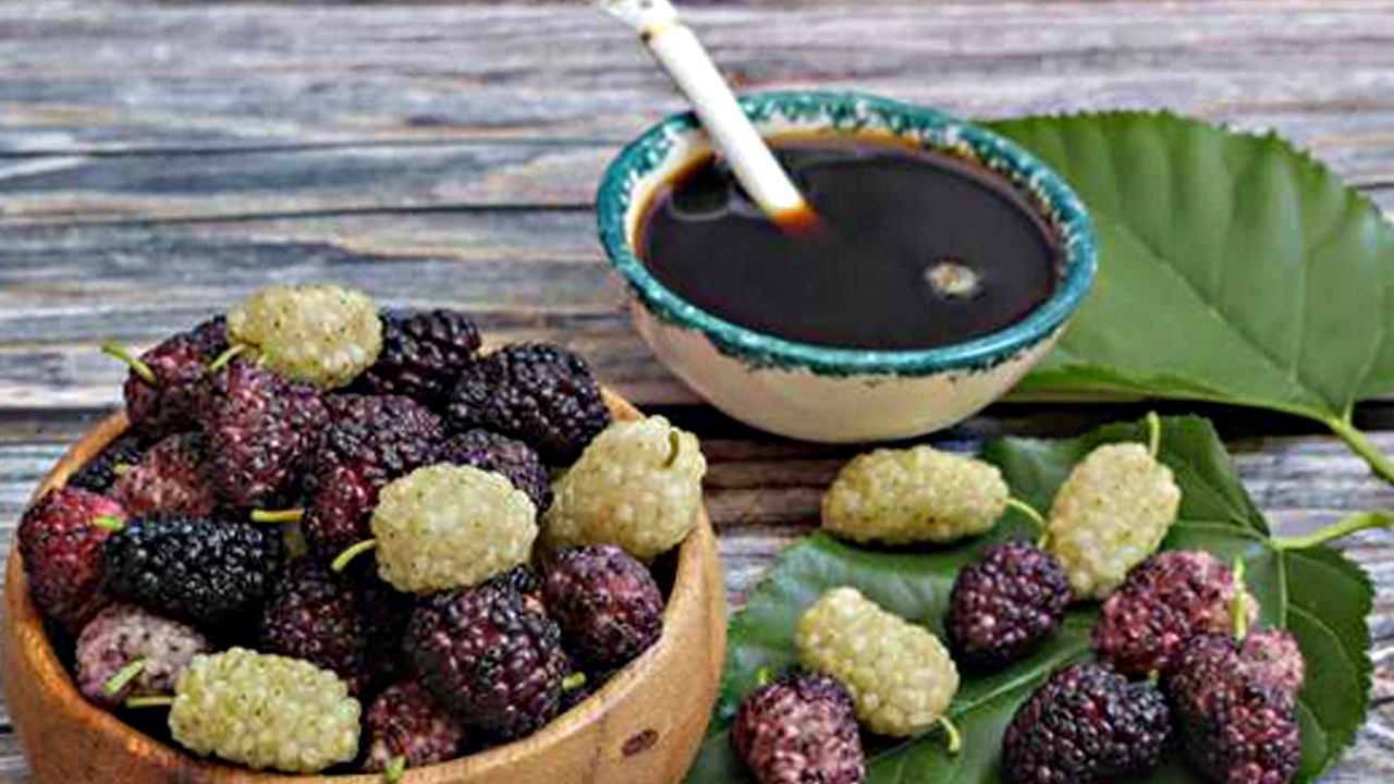 1 kaşığı bile kansızlığı bitiriyor! Doğanın gizli kahramanı: Erzincanlıların kansızlık ilacı