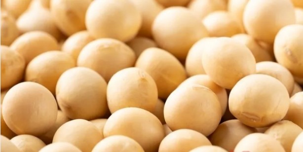 Foto - 1 kaşık tüketenler B12 eksikliği yaşamıyor! B12 vitaminin %570'ini karşılıyor