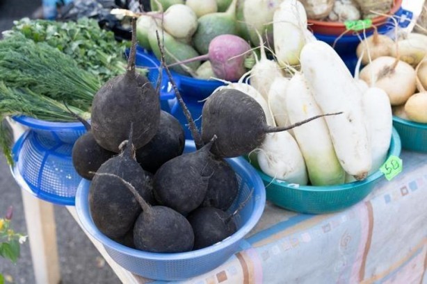 Foto - 1 kaşık yiyen 30 yıl öksürmüyor! Zencefille karıştırmak yetiyor: Balgam, hırıltı ve kuru öksürüğü kesiyor